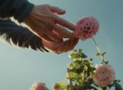 Berjalan dengan lembut di Bumi